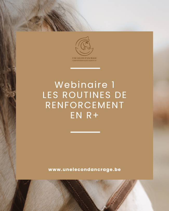 Webinaire 1 : Les routines de renforcement en R+