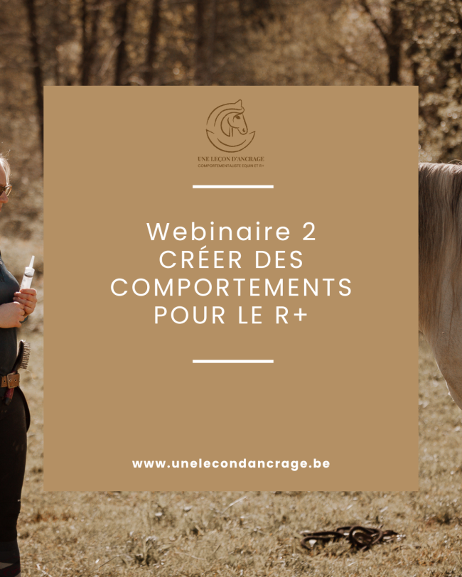 Webinaire 2 : Créer des comportements pour le R+