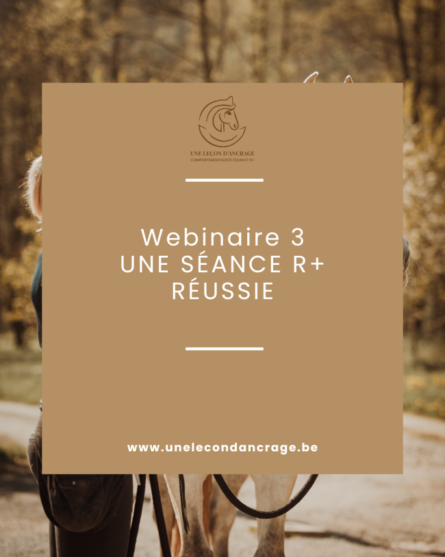 Webinaire 3 : Une séance R+ réussie