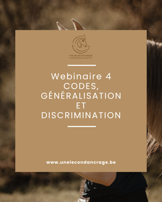 Webinaire 4 : Codes, généralisation et discrimination