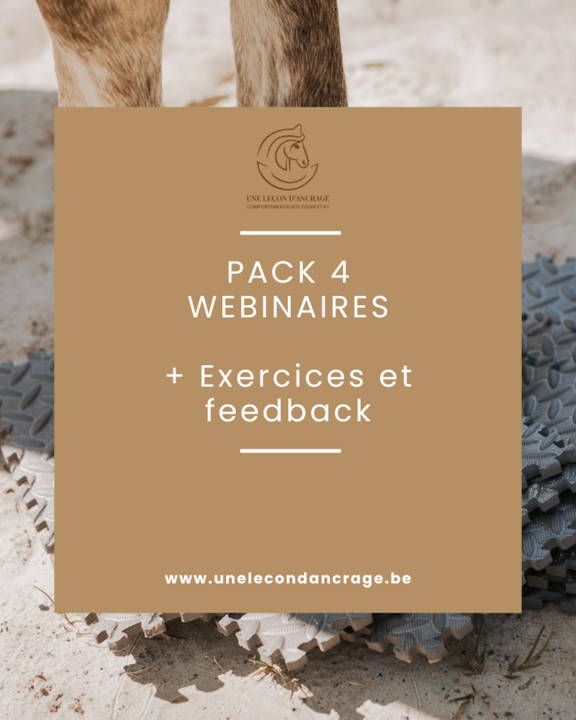Pack 4 Webinaires + Exercices et Feedback - Hiver 2025-2026