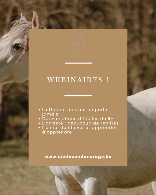 Pack 4 Webinaires (Hiver 2026)