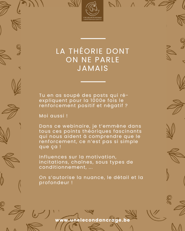 Webinaire : La théorie dont on ne parle jamais