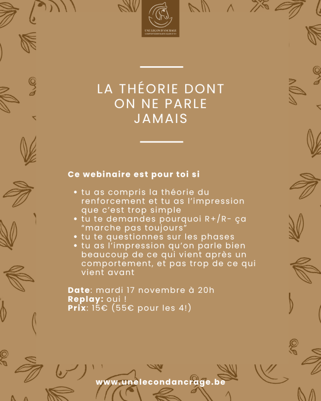 Webinaire : La théorie dont on ne parle jamais