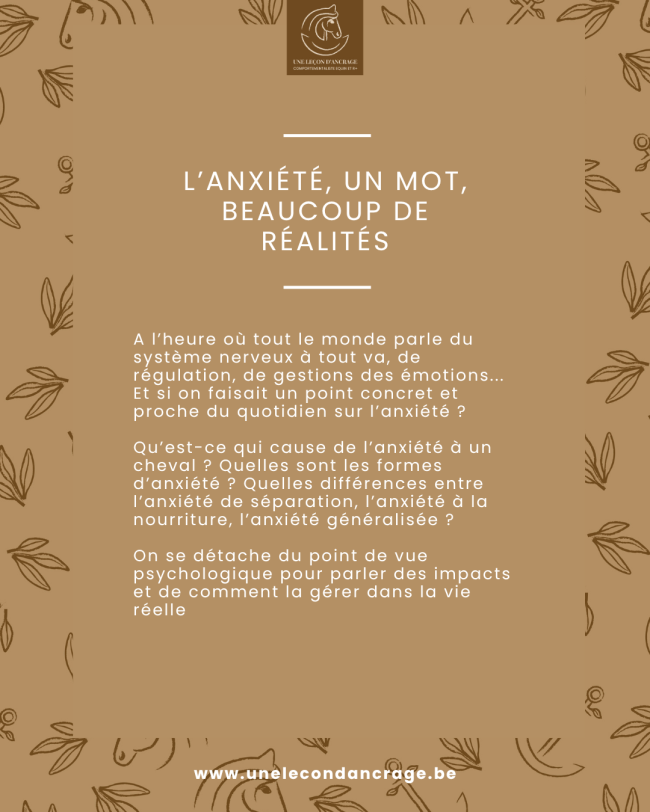 Webinaire : L'anxiété : un mot, beaucoup de réalité