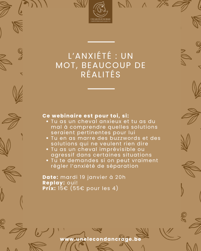 Webinaire : L'anxiété : un mot, beaucoup de réalité