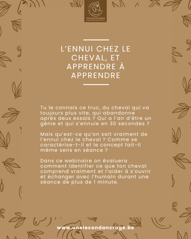 Webinaire: L'ennui chez le cheval, et comment apprendre à apprendre