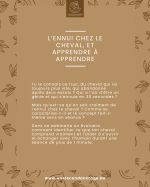 Webinaire: L'ennui chez le cheval, et comment apprendre à apprendre